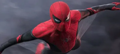 Такое вы купить нигде не сможете: Появились фото лимитированного издания  Marvel's Spider-Man: Miles Morales для прессы | GameMAG