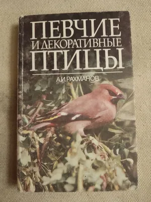 6 шт. декоративные птицы, красочные птицы, зажимы, Искусственные Птицы,  пузырьки, птицы, поделки «сделай сам», садовая птица, подходящая для  искусственных птиц, украшение K2so | AliExpress