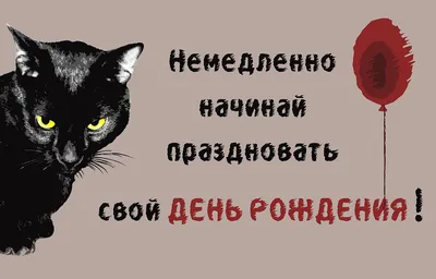 Прикольные открытки с днем рождения мужчине | Смешные поздравительные  открытки, С днем рождения, Открытки