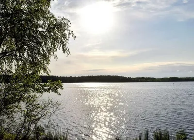 ПРАЗДНИК КАЖДЫЙ ДЕНЬ №56. 22 МАРТА. Всемирный день воды. | КАКАЯ ЖИЗНЬ,  ТАКИЕ И РАССКАЗЫ | Дзен