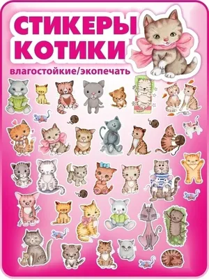 Детские валенки \"Довольный кот\" за 2500 руб. с доставкой в Кусе