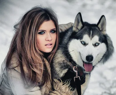 Изысканные фото Девушки с собакой на аву: великолепное качество