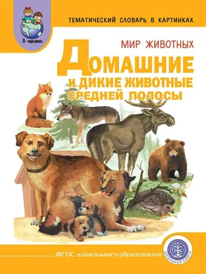 Купить книгу «Дикие животные», Эрик Мативе | Издательство «Махаон», ISBN:  978-5-389-18506-7