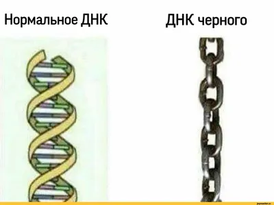 Послание «высшего разума»: В ДНК человека закодированы данные о пришельцах  | Пикабу