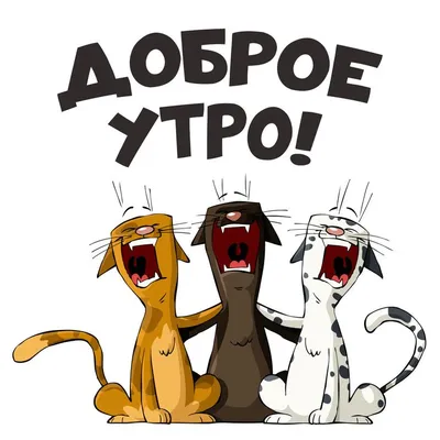 Пикабу - Доброе утро! #коты #кошки | Facebook