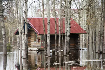 Картина Весна Домик у воды пейзаж маслом 50х50 см купить в  интернет-магазине Ярмарка Мастеров по цене 15000 ₽ – OGW42RU | Картины,  Санкт-Петербург - доставка по России