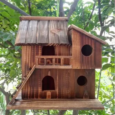 Birdhouse. Дом для птиц на дереве. Заботиться о птицы. Стоковое Фото -  изображение насчитывающей листья, птиц: 208251258