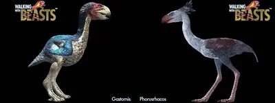 Как появились птицы на Земле? Последние исследования показали, что  археоптерикс и эпиорнис не были их предками | BIOсфератум | Дзен