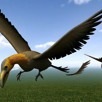 Потрясающая находка — окаменелости второй по примитивности древней птицы