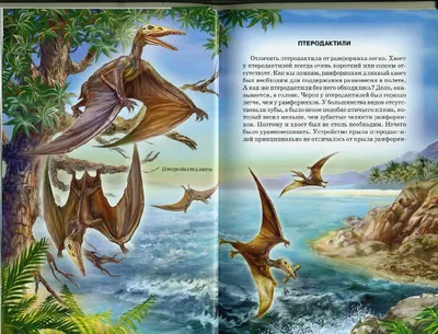Книга УМка Летающие ящеры и древние птицы 305685 купить по цене 224 ₽ в  интернет-магазине Детский мир