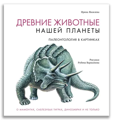 Орнамент примитивные птицы доисторические сцены древние птерозавры фигурка  мифическое существо мини Археоптерикс модель | AliExpress