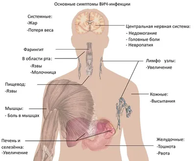 Травма. Невидимая эпидемия (Пол Конти) - купить книгу с доставкой в  интернет-магазине «Читай-город». ISBN: 978-5-17-146722-7