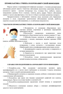 29—3. Способы бесполого размножения многоклеточных организмов: Полиэмбриония