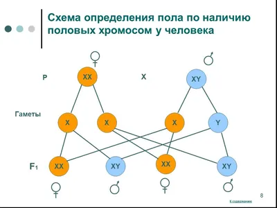 Норма потребления воды для человека с больным сердцем | Анна Кореневич |  Врач-кардиолог | Клинический психолог | Дзен