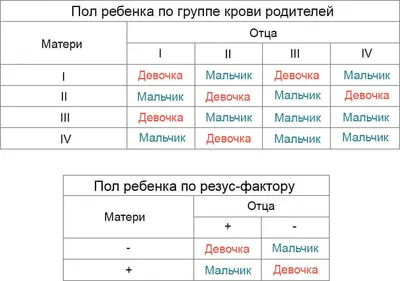 Спорт и творчество объединяет людей разных возрастов - Официальный сайт  Администрации Санкт‑Петербурга