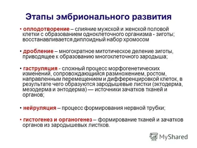 Вы видите разницу? Эмбриональное развитие лица у человека, летучей мыши,  кошки и овцы показано на этой странице из книги Фредерика Холлика  «Происхождение жизни и процесс размножения у растений и животных» (1902 г.).