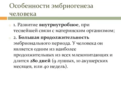 Эмбриональное Развитие Человека Инфографической Иллюстрации Векторное  изображение ©interactimages 552566708