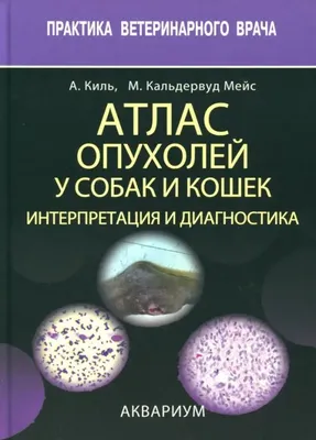 Эпулис у собак - изображения для скачивания