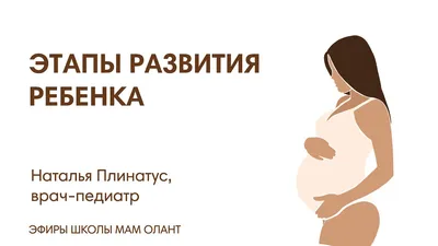 Что происходит изо дня в день после переноса эмбриона? — Reprolife