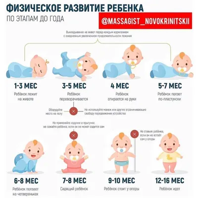 15-я неделя беременности, вес ребенка, фото, календарь беремености |  Мамоведия - о здоровье и развитии ребенка