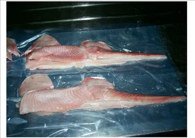 Купить охлаждённое рыбу в Минске с доставкой — Цена в РБ на филе
