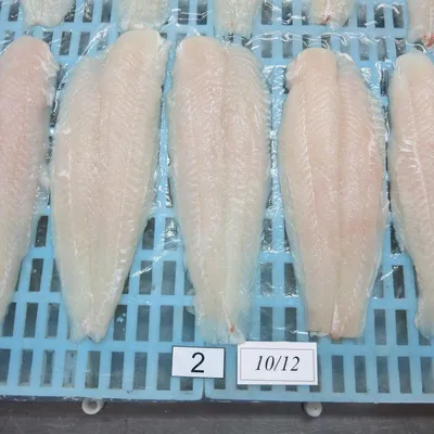 филе рыбы-паллока на белом фоне Стоковое Изображение - изображение  насчитывающей сырцово, протеин: 220129531