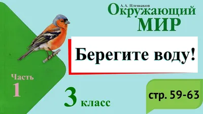 Всегда и везде человек нуждается в воде»: беседа по экологии Библиотека им.  Пришвина