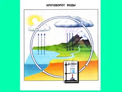 Рисунок Береги воду! №186274 - «ЭКОЛОГИЯ и МЫ» (03.02.2024 - 00:34)