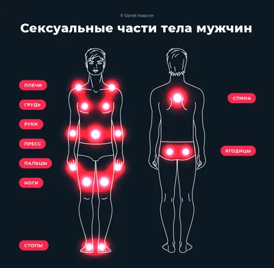 Дидактическая игра в средней группе по ознакомлению с окружающим «Части  тела человека» (9 фото). Воспитателям детских садов, школьным учителям и  педагогам - Маам.ру