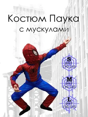 Человек-паук: Паутина вселенных» не оправдывает ожиданий, но всё равно  находит способ удивить | Анимация на 2x2 | 2023