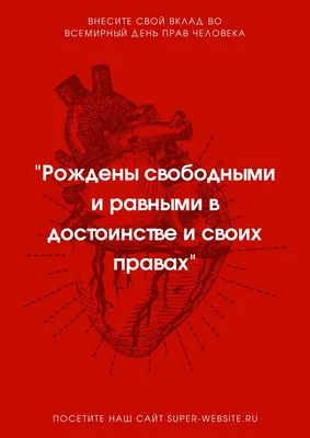 Мышцы человека: что это, их виды, строение, как работают и какие болезни  для них характерны