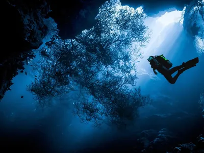 Обучение дыханию под водой. Дайвинг в Египте Stock Photo | Adobe Stock