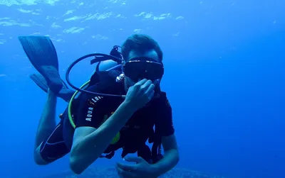 Команда дайверов под водой. Дайвинг в Красном море, Египет Photos | Adobe  Stock