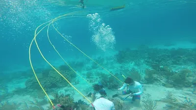 Самый глубокий в мире бассейн для дайвинга открылся в Дубае