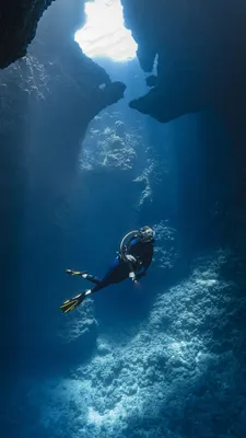 Уникальное крыло для \"полета\" под водой захватывает сердца дайверов — Наука  и IT