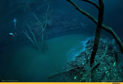 Масло Оснастки Под Водой С Дайверов Подводного Плавания С Аквалангом —  стоковые фотографии и другие картинки Морская платформа - iStock