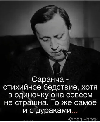 Портрет белокурого зрелого человека с озадаченным выражением чокнутым дурака  Стоковое Фото - изображение насчитывающей люди, эмоционально: 193951996