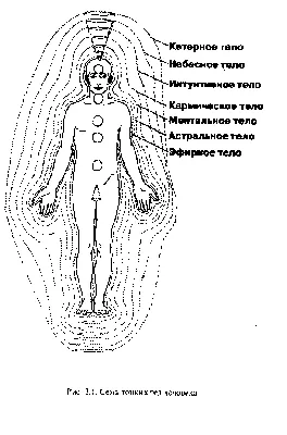 Тайна души и тела человека | islam.ru