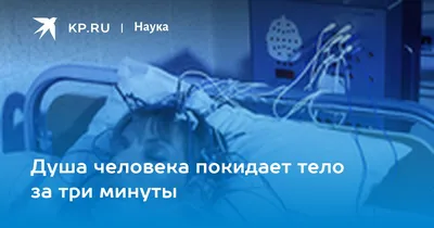 Тело и душа. Одна личность. Два мира. | 7 Законов Человечества | Академия  Универсальной Этики