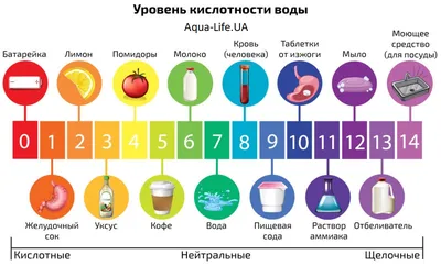 Стратегический запас продуктов - еда для выживания | Статья в блоге Кронидов