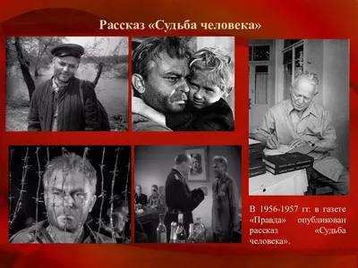 Судьба человека (1959, фильм) - «\"А не приснилась ли мне жизнь моя  нескладная?\" - А. Соколов...Классика фильмов о войне. Глубокий,  драматический фильм.» | отзывы