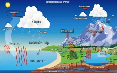 Аквафобия (страх воды)