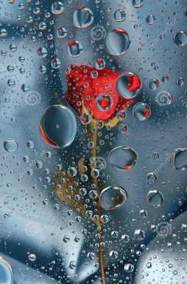 Естественные капли воды на стекле Стоковое Изображение - изображение  насчитывающей падение, освежать: 23220671