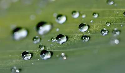 Капли воды\" Фотообои на стену. Фотопечать для шкафа купе. Стеклянные  панели. Купить.