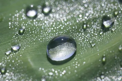 Фото капли воды фотографии