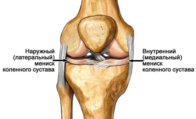 Колено человека касающее с красным цветом выделяет концепцию колена и  совместной боли Стоковое Изображение - изображение насчитывающей ушиб,  массаж: 119667179