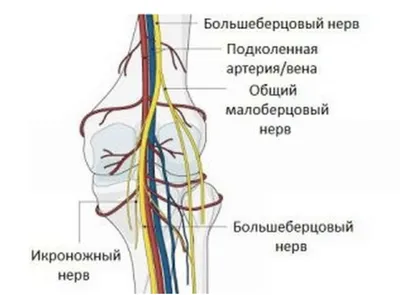 Боль в колене - Центр доктора Бубновского