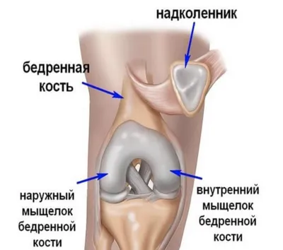 Женщины Здорового Человека Колена Клетки — стоковые фотографии и другие  картинки Артрит - Артрит, Бедренная кость, Большая берцовая кость - iStock