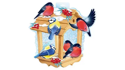 Подведены итоги акции «Покормите птиц зимой!» - 2 Февраля 2021 - ОДО МАУ  ЦДОДГИ