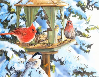 Конкурс «Покормите птиц зимой» - Приокско-Террасный государственный  природный биосферный заповедник
